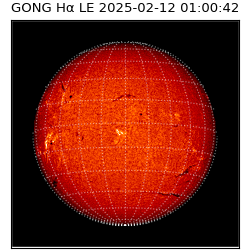 gong - 2025-02-12T01:00:42