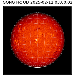 gong - 2025-02-12T03:00:02