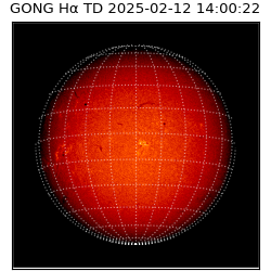 gong - 2025-02-12T14:00:22