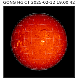gong - 2025-02-12T19:00:42