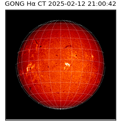 gong - 2025-02-12T21:00:42