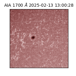saia - 2025-02-13T13:00:28.717000