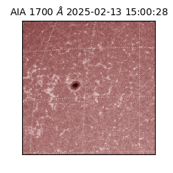 saia - 2025-02-13T15:00:28.720000