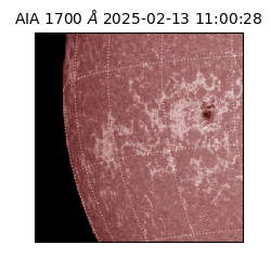 saia - 2025-02-13T11:00:28.717000