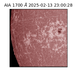 saia - 2025-02-13T23:00:28.713000
