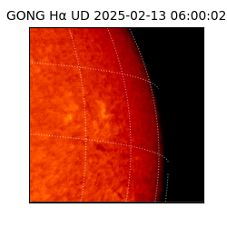 gong - 2025-02-13T06:00:02