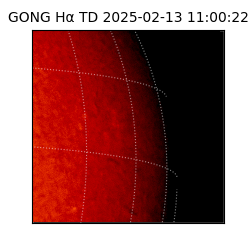 gong - 2025-02-13T11:00:22