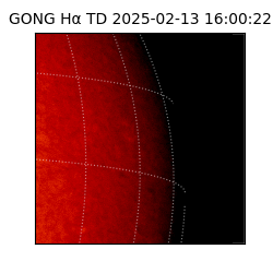gong - 2025-02-13T16:00:22