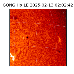 gong - 2025-02-13T02:02:42