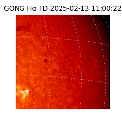 gong - 2025-02-13T11:00:22