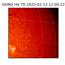 gong - 2025-02-13T12:00:22