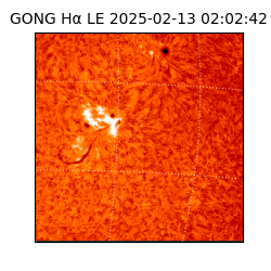 gong - 2025-02-13T02:02:42