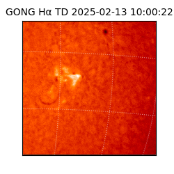 gong - 2025-02-13T10:00:22
