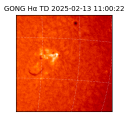 gong - 2025-02-13T11:00:22