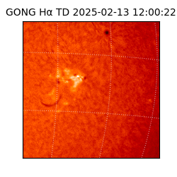 gong - 2025-02-13T12:00:22
