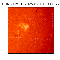 gong - 2025-02-13T13:00:22