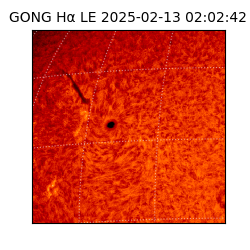 gong - 2025-02-13T02:02:42