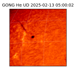 gong - 2025-02-13T05:00:02