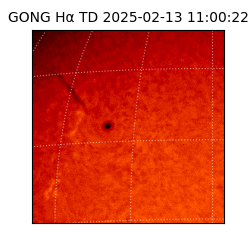 gong - 2025-02-13T11:00:22