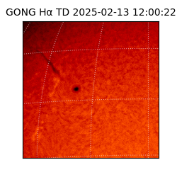 gong - 2025-02-13T12:00:22