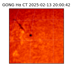 gong - 2025-02-13T20:00:42