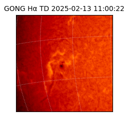 gong - 2025-02-13T11:00:22