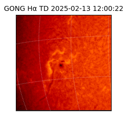 gong - 2025-02-13T12:00:22