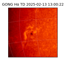 gong - 2025-02-13T13:00:22