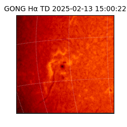 gong - 2025-02-13T15:00:22