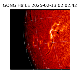 gong - 2025-02-13T02:02:42
