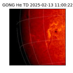 gong - 2025-02-13T11:00:22
