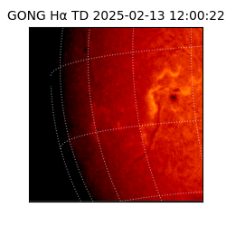 gong - 2025-02-13T12:00:22