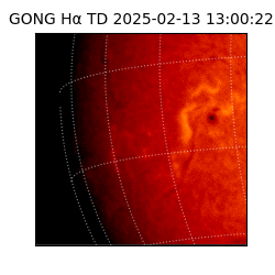 gong - 2025-02-13T13:00:22