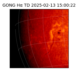 gong - 2025-02-13T15:00:22