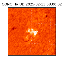 gong - 2025-02-13T08:00:02