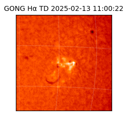 gong - 2025-02-13T11:00:22