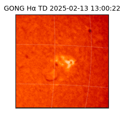 gong - 2025-02-13T13:00:22