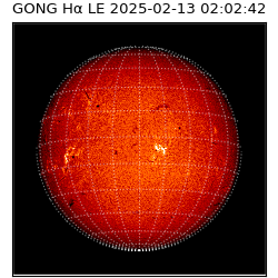 gong - 2025-02-13T02:02:42