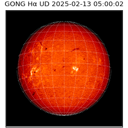 gong - 2025-02-13T05:00:02