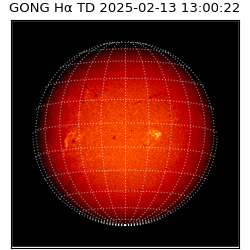 gong - 2025-02-13T13:00:22