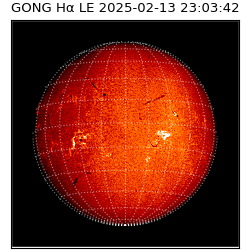 gong - 2025-02-13T23:03:42
