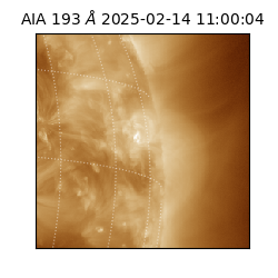 saia - 2025-02-14T11:00:04.835000