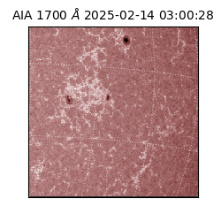 saia - 2025-02-14T03:00:28.710000