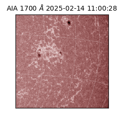 saia - 2025-02-14T11:00:28.719000