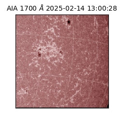 saia - 2025-02-14T13:00:28.722000