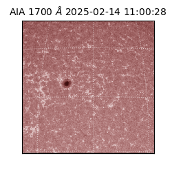 saia - 2025-02-14T11:00:28.719000