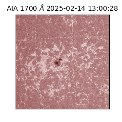 saia - 2025-02-14T13:00:28.722000