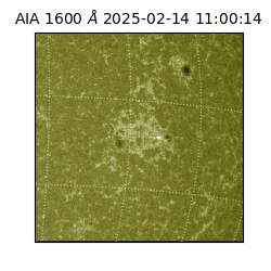 saia - 2025-02-14T11:00:14.124000