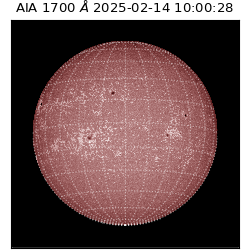 saia - 2025-02-14T10:00:28.721000