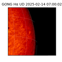 gong - 2025-02-14T07:00:02